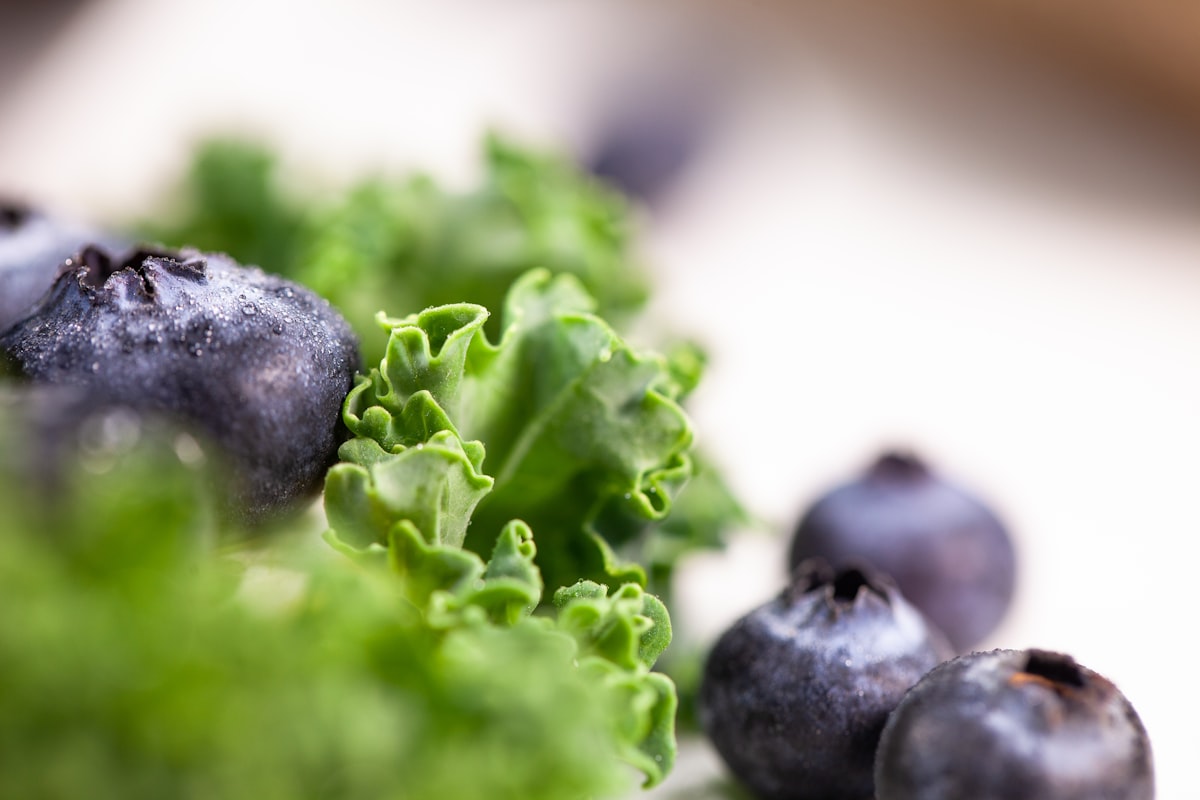Latest research on nutrition and eyesight